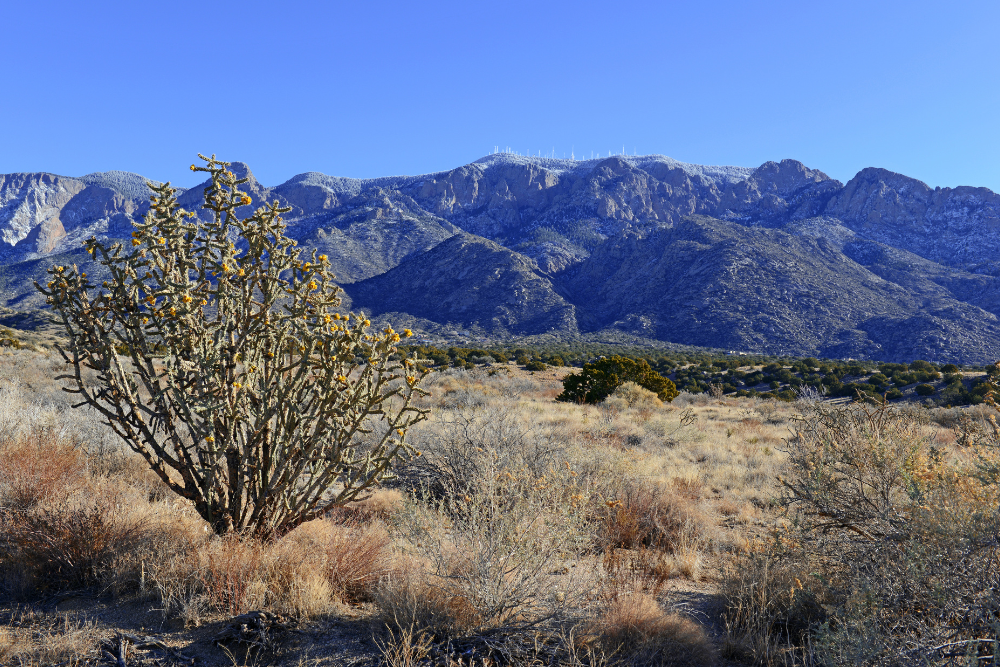 Alpine landscape of Sandia Mountains, New Mexico